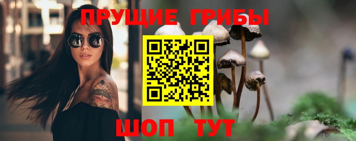 Ессентуки  Псилоцибиновые грибы MAGIC MUSHROOMS  Вход с VPN 