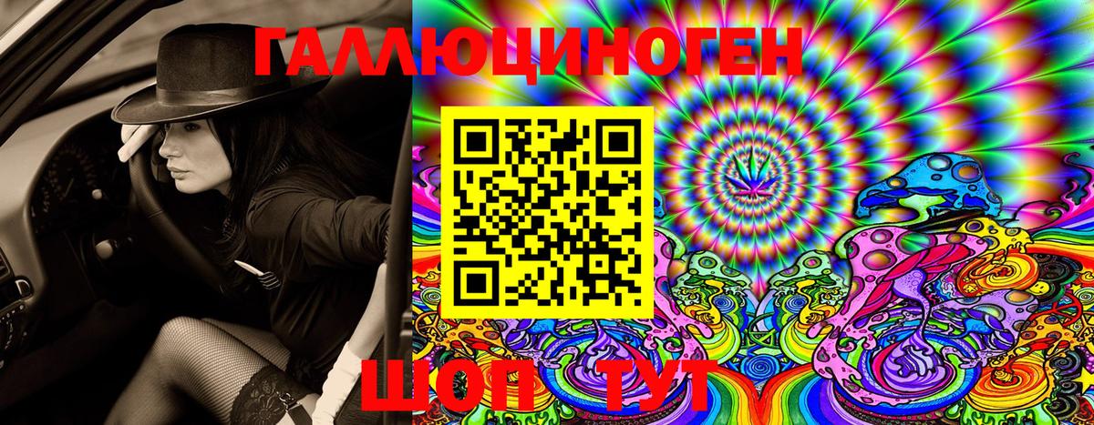 Галлюциногенные грибы Psilocybine cubensis Ессентуки